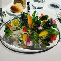 レフェルヴェソンス - 