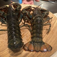 サカナザ -  サカナザ -