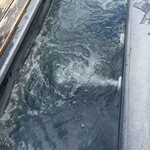 清泉寮ジャージーハット ミルクバー - 