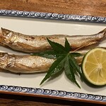 しおて - 本シシャモ（オス）