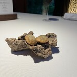 ブレストンコート ユカワタン - 