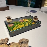 ブレストンコート ユカワタン - 