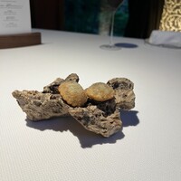 ブレストンコート ユカワタン - 