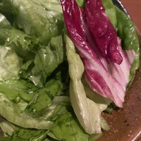 生粋 - 