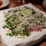 和ガリコ 寅 - わさびなまみれ(｡≖ิ‿≖ิ)ﾆﾔﾘ