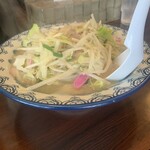 井手ちゃんぽん - レディースちゃんぽん870円