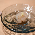 鮨 しばかつ - 《越中（ゑつちゆう）》"白鰕（しろえび）"