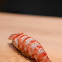 鮨 しばかつ - "對蝦（くるまえび）"