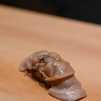 鮨 しばかつ - "斧文蛤（てうせんはまぐり）"