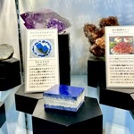 ウサギノネドコ 京都店 - 