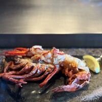 ステーキハウス ミディアムレア - 