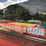 レストラン１４１ - 