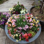 上川大雪カフェ 緑丘茶房 - 