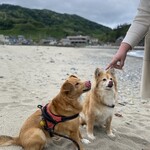 中華そば処 琴平荘 - 