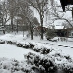 日本料理 からまつ - 