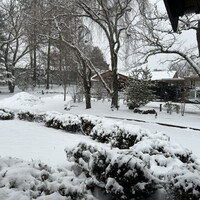 日本料理 からまつ - 