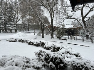 Japanese cuisine  Karatsu