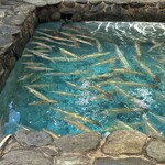 河太郎 中洲本店 - 