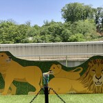 ライオンカフェ - 料理写真: