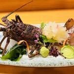 日本料理 鯛 - 伊勢海老 刺身