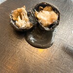 メゾン フジヤ ハコダテ - 