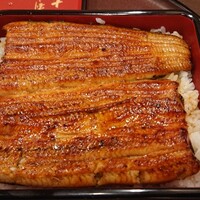 割烹 蒲焼 大沼 - 