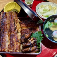 炭焼 うな富士 有楽町店 - 肝入り上うな重