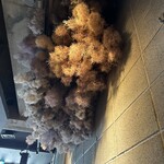 THE ROASTERY BY NOZY COFFEE - 