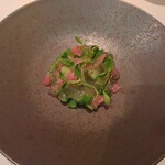 ピアッティ カステリーナ - 