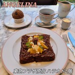 アンジェリーナ - 