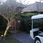 AYANA Resort and Spa - 2011.08 基本はこのようなコテージ、夕日の見える庭、プール付きでした。