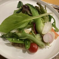 ヤマガタ サンダンデロ - 