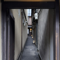 時菜今日萬祇園 - 