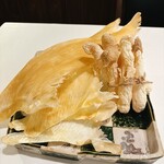 302488603 - フカヒレ