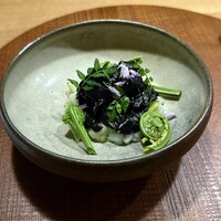 十皿 - 針イカの墨和え　木の芽リゾット