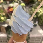 ライフ セントラルスクエア - 料理写真:ブルーと白のミックスソフト