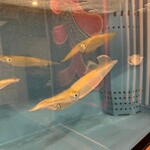 博多もつ鍋 安明 - 