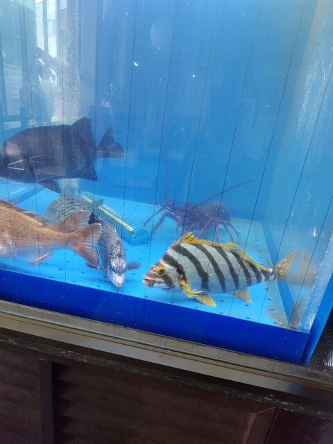 Ecchu Yao Yakiniku Sanzenri Nagoya Ten photo 4