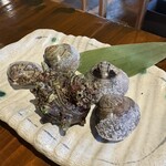 海鮮居酒屋 海の玉手箱 - 