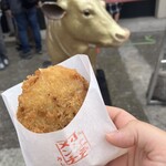 和牛ひつまぶし うし川 - 