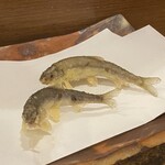 天ぷらふく西 禅と匠 - 稚鮎