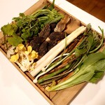 亜絲花 - この日のキノコと山菜