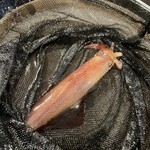 喜多八たらいうどん - 