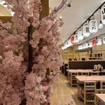 九州料理専門店 さくら島酒場 - 