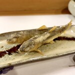 穴子料理と地酒 浅草 川井 - 稚鮎の天麩羅