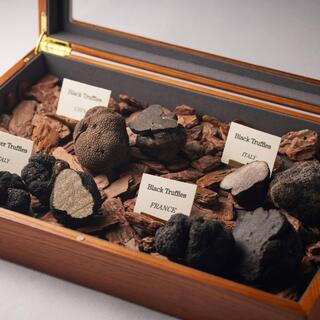 Terres de Truffes, Tokyo_2