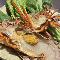 鉄板焼 雅 銀座 - 