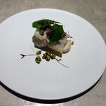 Simples - 泳がせカマス