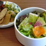 Italiana Pinocchio - 前菜の盛り合わせ