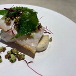 Simples - 泳がせカマス